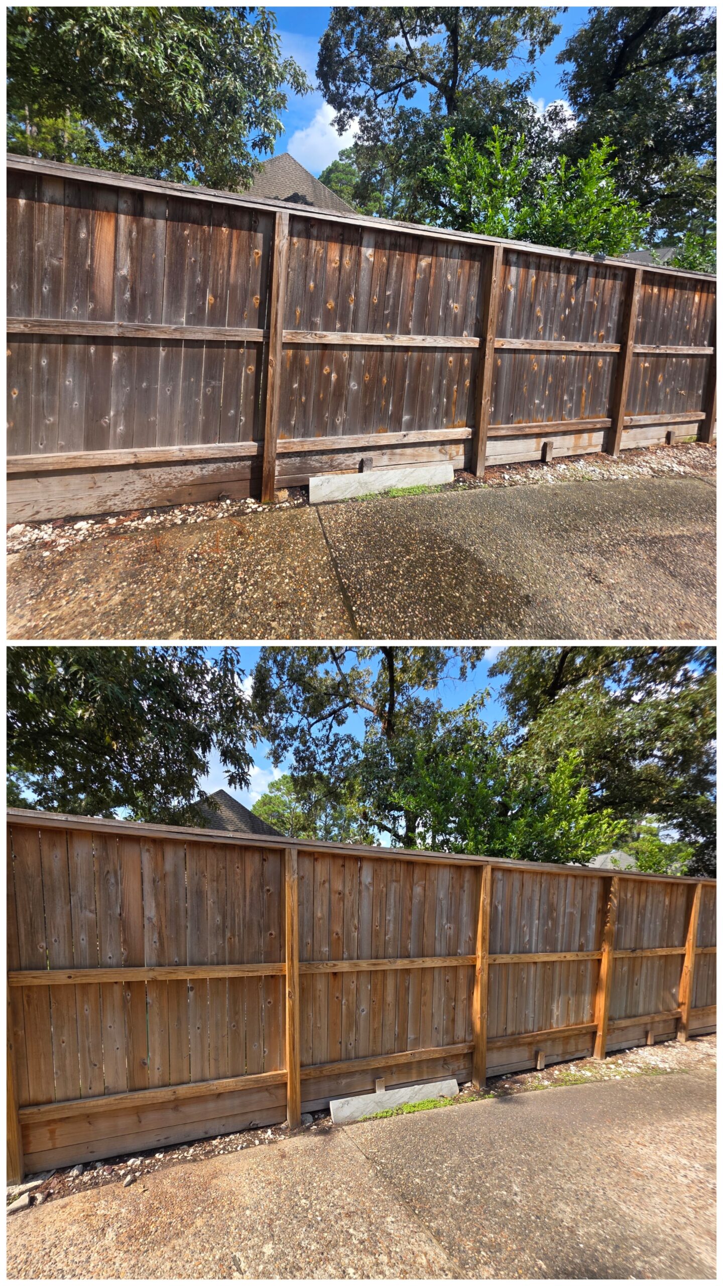 Before and after wooden privacy fence cleaning showing the restored appearance of the wood.